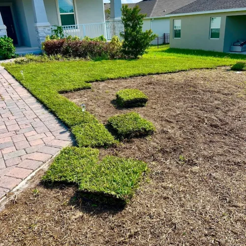 natural grass